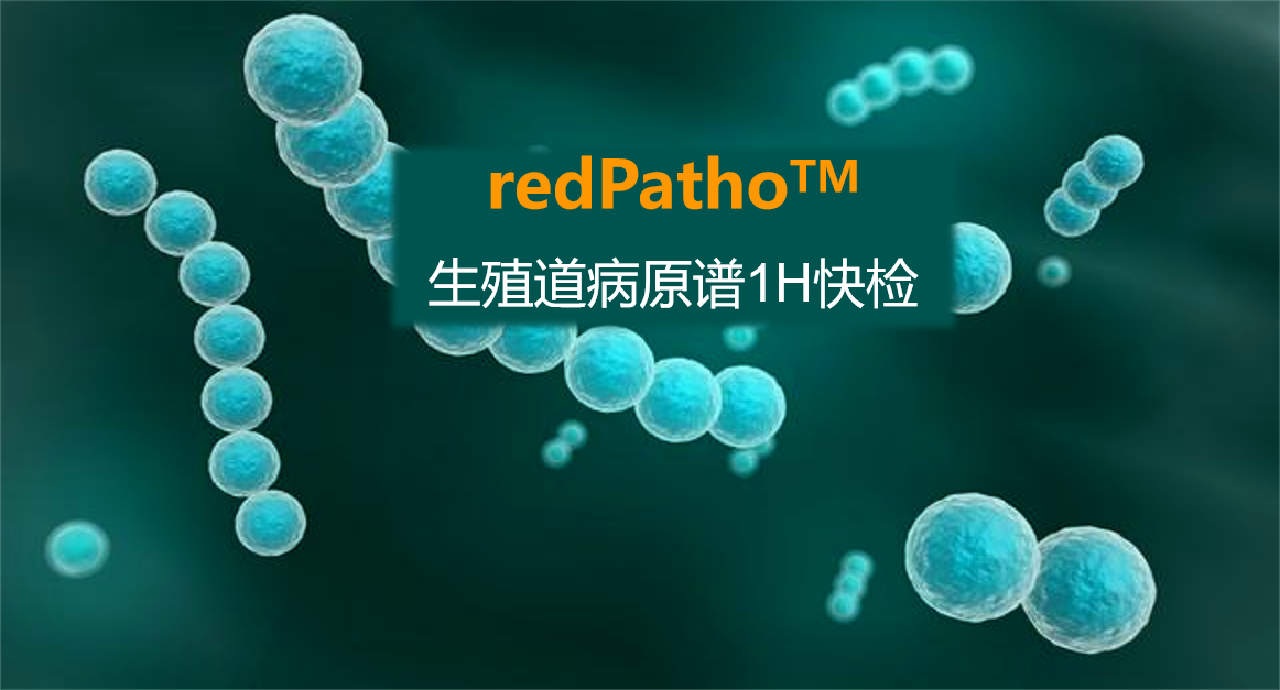 redPatho，生殖道感染病原譜